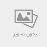 امام زادگان عشق